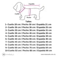 thumbnail image 3 of Suéter y Pañuelo para Mascota Mi Pañuelo Santa y Duende Talla 2, 3 of 3