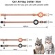 thumbnail image 5 of Collares ajustables para gatos YONGSHENG Airtag collar reflectante con hebilla de seguridad separable y campana 2 uds, 5 of 5