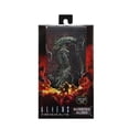 thumbnail image 3 of ALIENS: FIRETEAM ELITE - 7 FIG - SERIES 2 BURSTER ALIEN NECA NECA Neca, 3 of 3