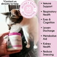 thumbnail image 6 of Balanced Breed L-Lysine Cat Immune Support Respiratory Sneezing Omega 3 Skin Vitamin - 60 Soft Chews, 6 of 8
