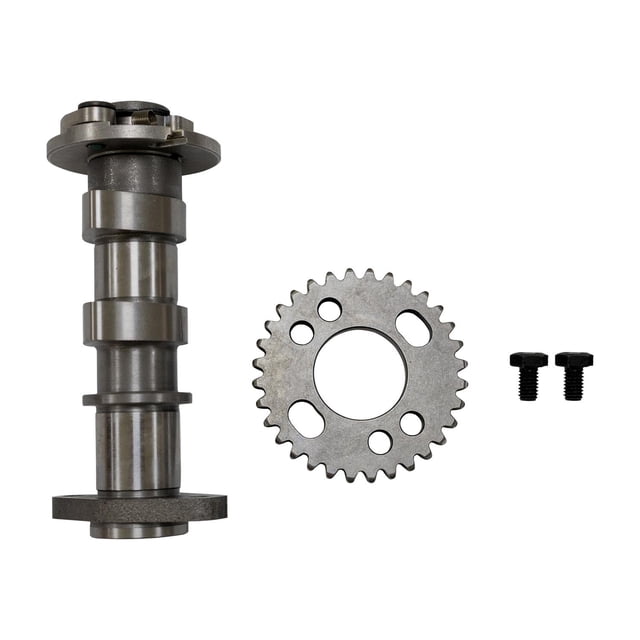 Arbol Levas Italika Vort-X300 (17-24)