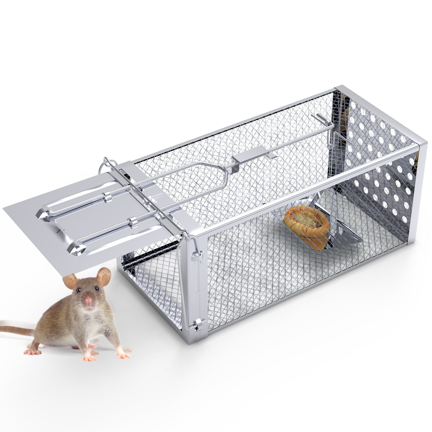 TeqHome Humane Mouse Traps, 11.8" Single Door Rat Trap Cage for Small Rodents Mice Voles Reusable Easy to Set Mice Catcher for Indoor Outdoor
