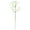 White, variant on Natural Dry Flowers Brazilian Full Of Star Decorative Dried Flowers Mini Bouquet for Wedding Floral Arrangements Home Decorations