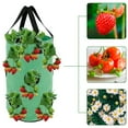 thumbnail image 4 of OUSITAID Strawberry Planting Pot Container Plant Grow Bags Home Hanging Strawberry Planter Growing Bags, 4 of 8