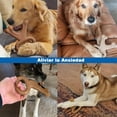 thumbnail image 3 of Juguete de Dentición Sabor Carne Resistente para Perros Medianos y Grandes, 3 of 6