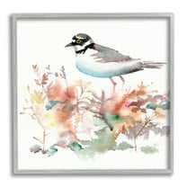 Stupell Indtries Little Ringed Plover Bird in Country Wildflower Field,17 x 17,Design by Verbrugge Watercolor