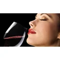 thumbnail image 5 of Aireador de vino Magic Decanter Deluxe con soporte, decantador de vino de lujo, vertedor de vino, 5 of 5