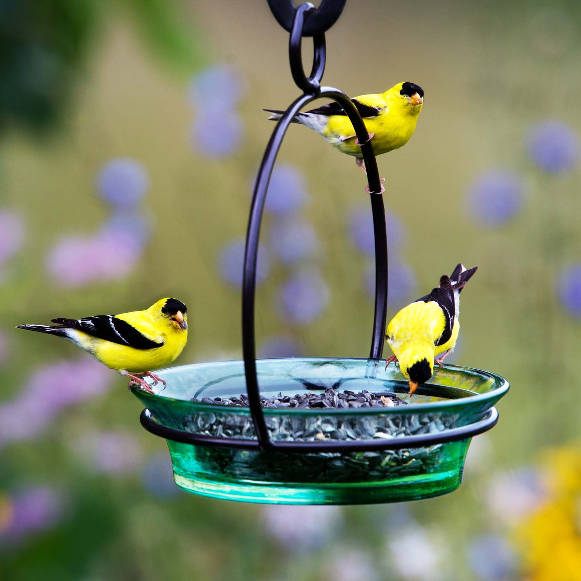 Mosaic Birds Recycled Glass & Metal Cuban Hanging Bird Bath Bowl - Bird Feeders for Outdoors - Lawn Décor - Aqua Blue
