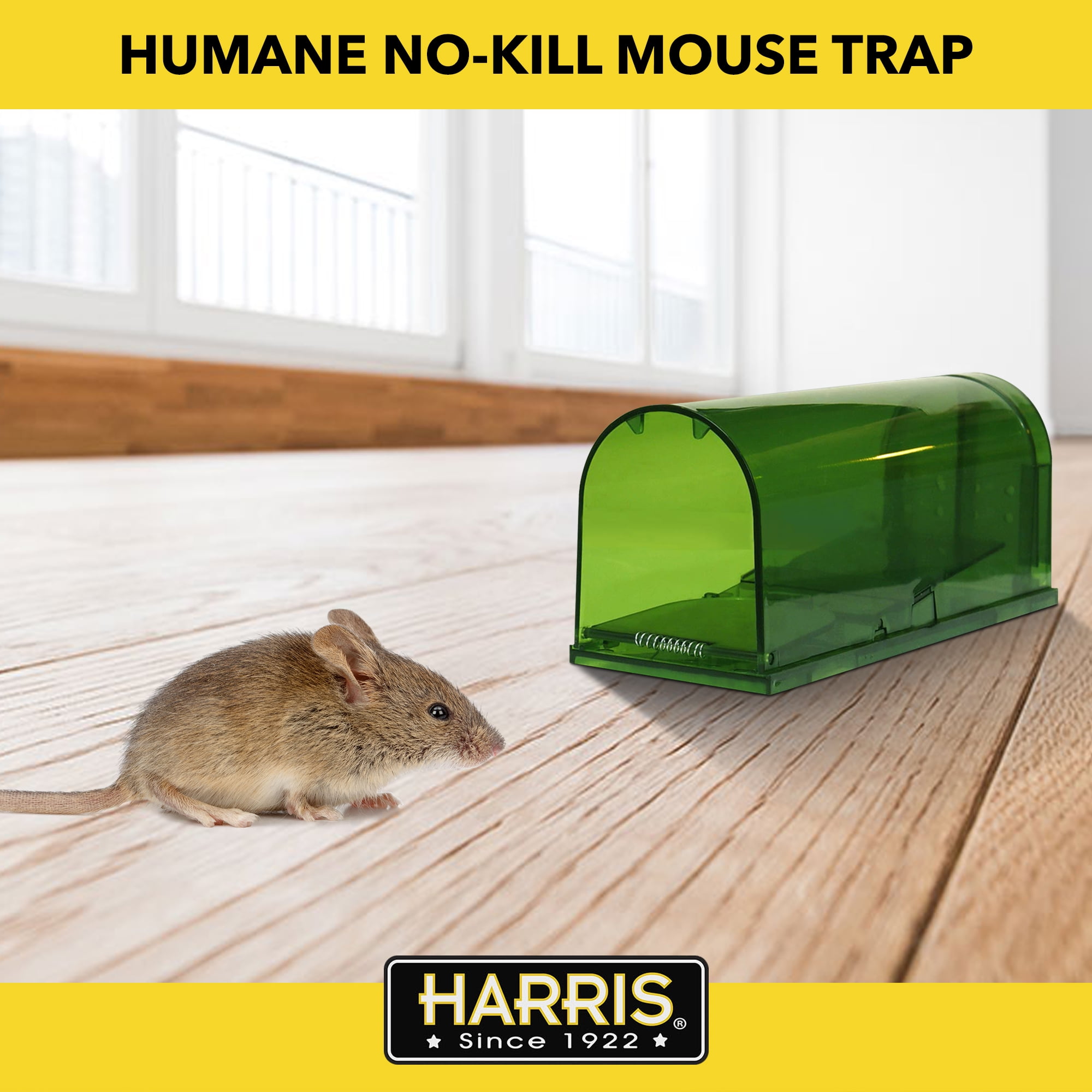 Humane trap - mouse trap - metal, silver - buy now! symbol:730407