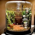 thumbnail image 3 of Micro-Landscape Glass Terrarium with Dew Collection Cover, Bonsai Vase Glass Microscopic Landscape Ecological Bottle S, 3 of 5