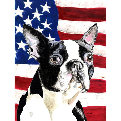 Caroline's Treasures American 2-Sided Polyester 15 x 11 in. Garden Flag