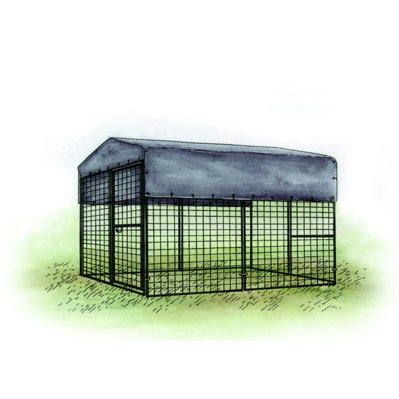 Chicken Run Tarp - Weather Protection Walk-In Coops | Hatching Time