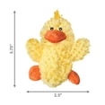 thumbnail image 4 of Juguete para Perro KONG Dr. Noy's Platy Duck 3 Unidades, 4 of 6