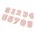 thumbnail image 1 of Patches pour Sac à Dos, Patches Numérotés Roses Repassage Facile 0 à 9 Numéro 10 Pcs pour Chemise, 1 of 7