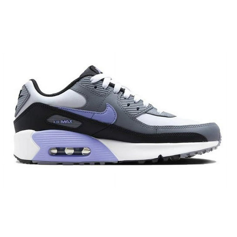 Big Kid's Nike Air Max 90 LTR Photon Dust/Light Thistle (DV3607