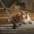 thumbnail image 4 of Aspiradora Miele New Guard L1 en bolsa para gatos y perros, 4 of 9