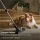 thumbnail image 4 of Aspiradora Miele New Guard L1 en bolsa para gatos y perros, 4 of 9
