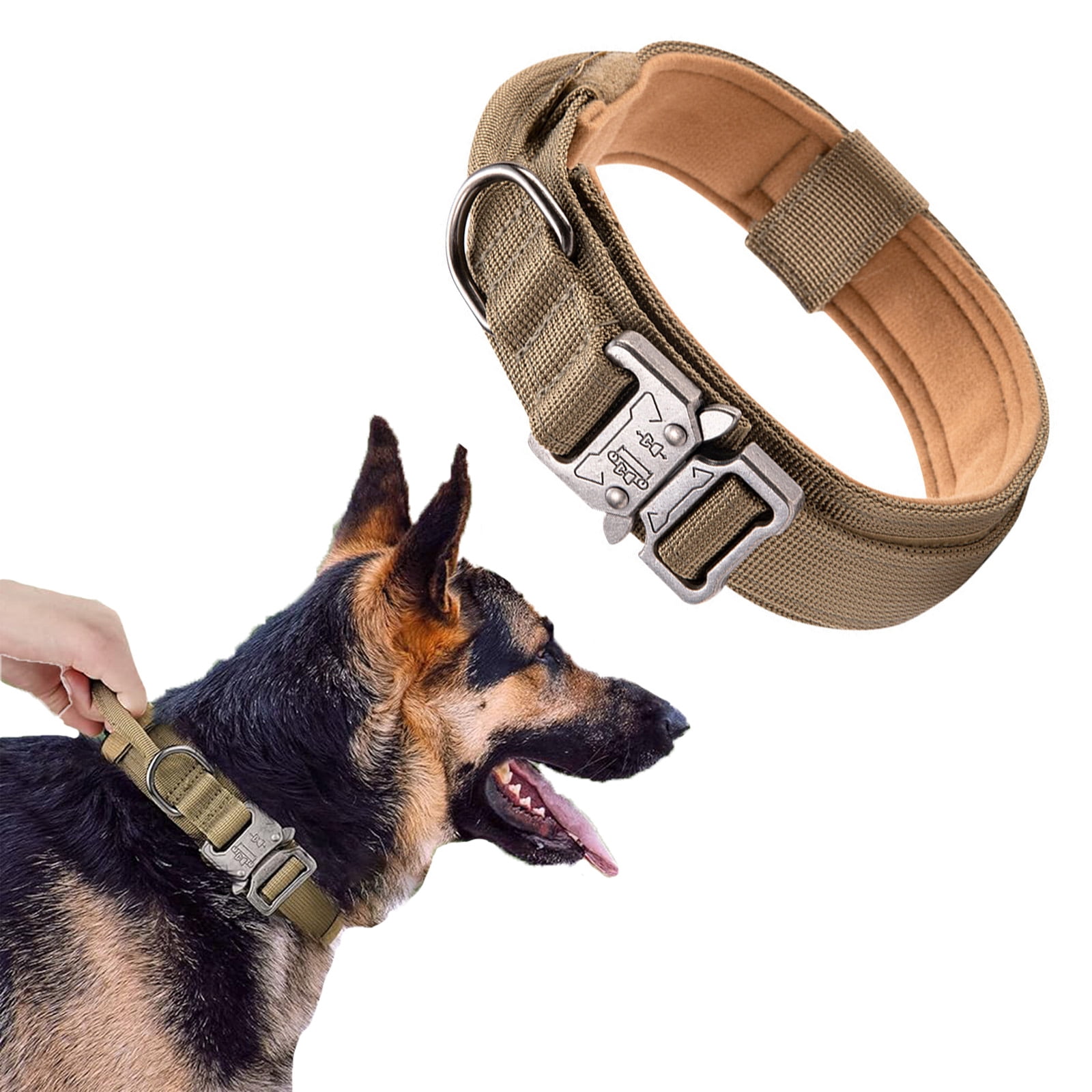 Vibrant Life Reflective Dog Collar, Olive Green, Large, Metal