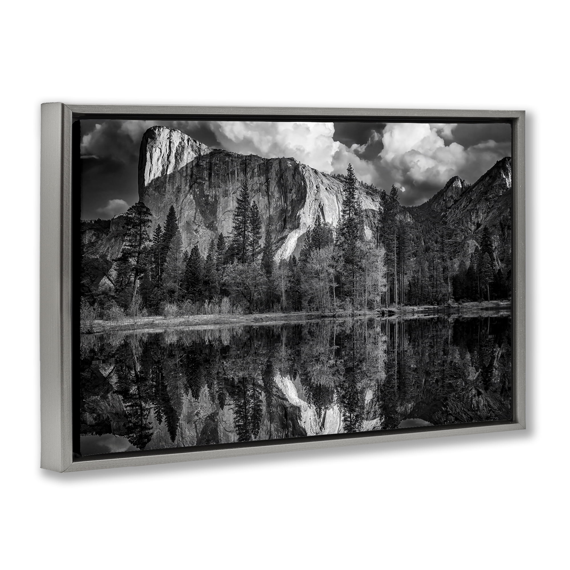 Stupell Industries Forest Trees Lake Reflection Landscape & Nature Photography Gray Floater Framed Canvas Art Print Wall Art, 31 x 21