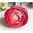 thumbnail image 3 of Artificial Ranunculus Flowers with Real Touch Stem Spray for Home Garden Decoration (White), 3 of 5