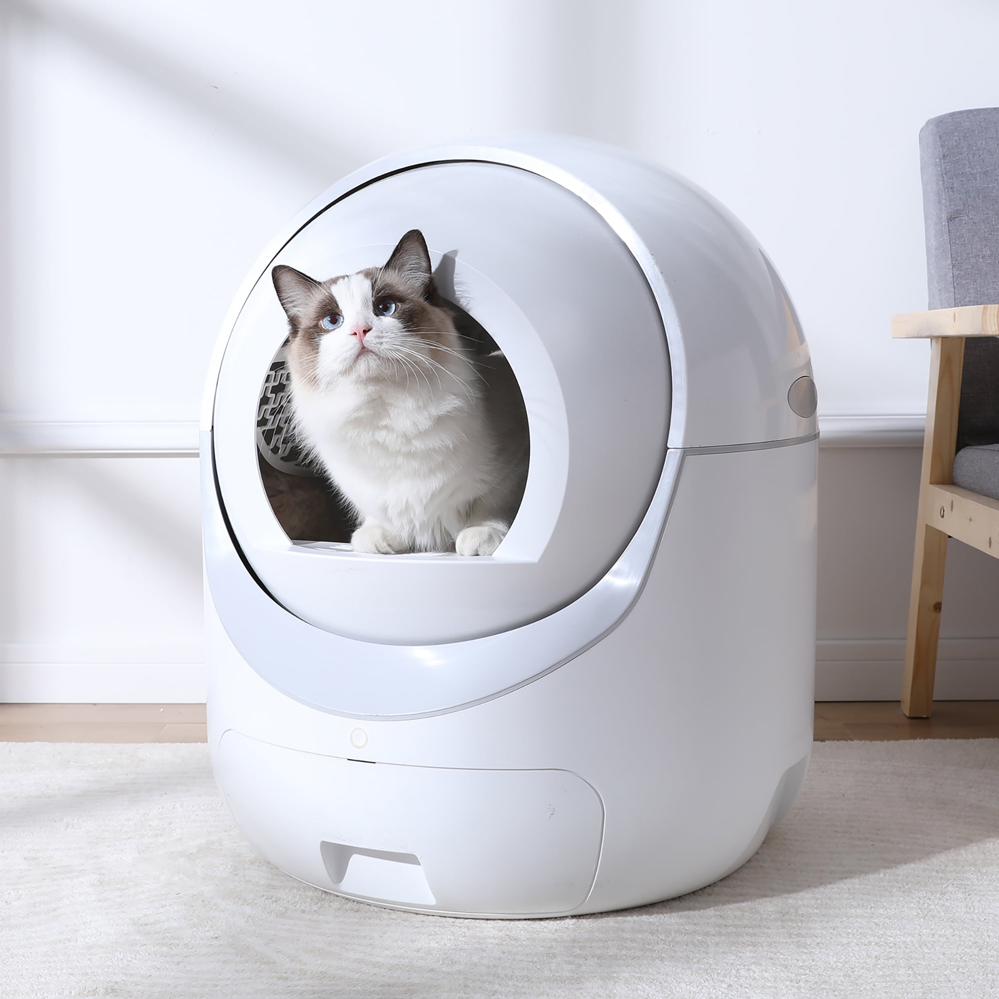 Smart Automatic Cat Litter Box with App Control and Togo Ubuy