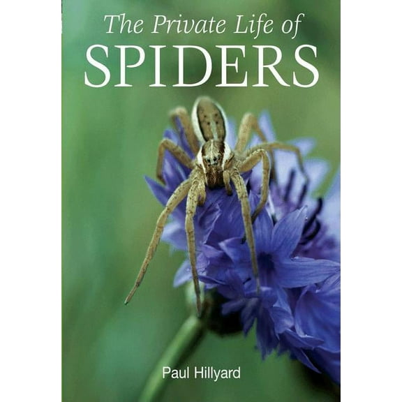 The Private Life of Spiders, (Paperback)