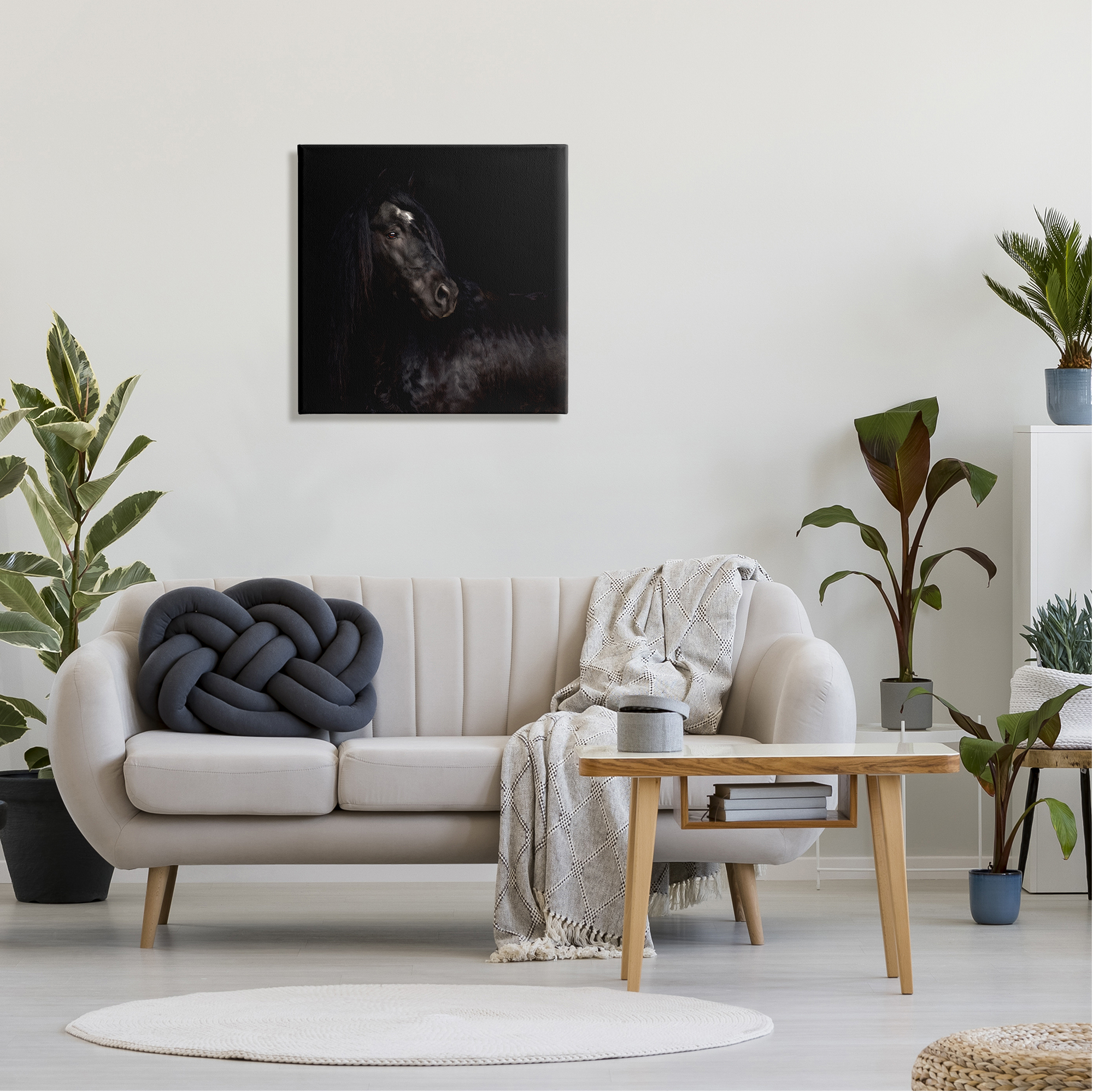 Stupell Industries Elegant Black Stallion Animals & Insects Photography Gallery Wrapped Canvas Art Print Wall Art, 24 x 24