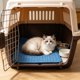 thumbnail image 4 of Alfombrilla refrescante para perros y gatos, lavable, con base antideslizante, almohadilla de hielo portátil para aliviar el calor, múltiples tamaños, uso en interiores y exteriores., 4 of 6