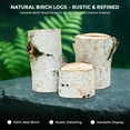 thumbnail image 6 of 17 Inch Natural Birch Logs - Decorative Dried Birch Wood Logs for Fireplace, Wedding Centerpieces - Unfinished Wood DIY Crafts, & Home Décor - Birch Log Bundle for Indoor Display (8 PCS) (1"-2.5", 6 of 8