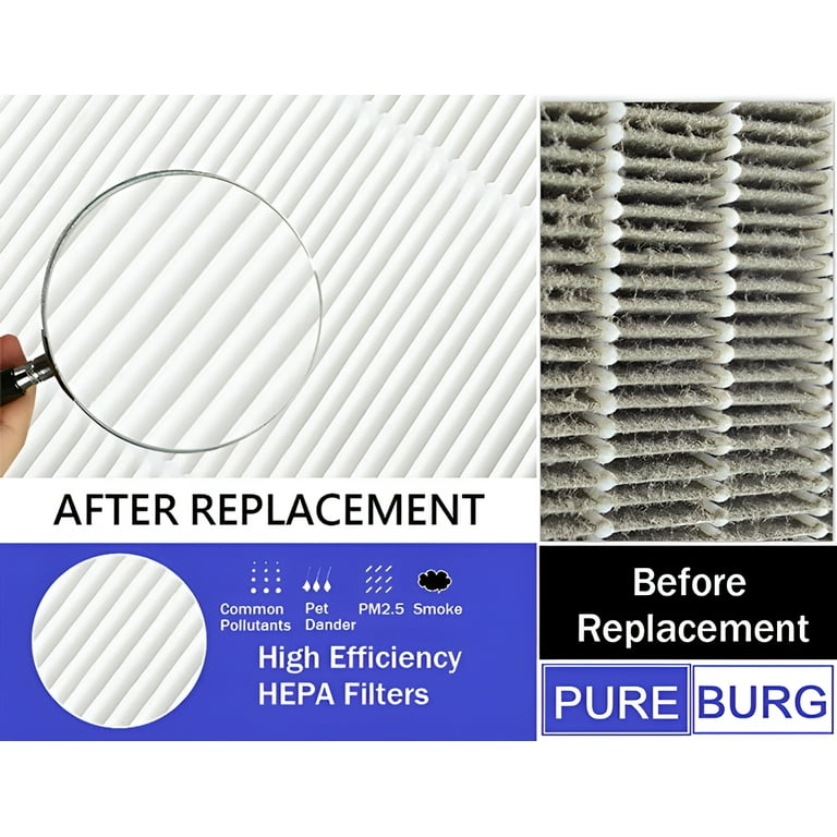 Allisfresh C102 MA-01CW True HEPA Replacement Filter Compatible With Miko Ibuki C102 Air Cleaner Purifier And Okaysou AirMic4S, True HEPA Filter Set, 2 Pack