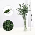 Preserved Wild Oats Flower Bouquet, 18 Inch Natural Chasmanthium
