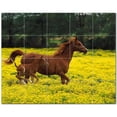 thumbnail image 1 of Horse Photo Ceramic Tile Mural Kitchen Backsplash Bathroom Shower, 405264-L54, 1 of 3