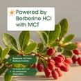 thumbnail image 2 of NatureBell Berberine 1,000mg - 120 Softgels - Antioxidant, Alkaloid & Adaptogenic Support - Made with MCT Oil - Gluten-Free, Dairy-Free, Soy-Free - 30 Servings, 2 of 8