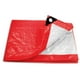 thumbnail image 1 of Lona 2x3 Metros Roja Pretul Pretul LP-23R, 1 of 2