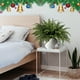 thumbnail image 4 of Decoraciones navideñas, adornos navideños, regalos navideños: Simulación de agujas de pino de Norfolk, agujas de pino navideñas, ramas de pino decorativas de plástico individuales, ramas de pino de pl, 4 of 6