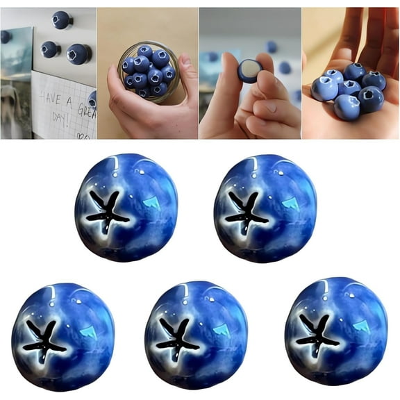 Blueberry Ceramic Fridge Magnets, 2025 New Cute Mini Ceramic Magnet for Fridge, 3D Resin Small Blueberries Refrigerator Magnetic, Realistic Fruit Art for Home Kitchen Office Locker Decoration
