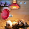 thumbnail image 6 of QHUDLV Infrared Heat Bulb Lamp,250W Poultry Brooder,Livestock Heating Light, 6 of 9