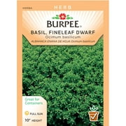 Burpee-Basil, Fineleaf Dwarf Bush Seed Packet