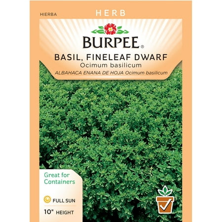Burpee-Basil, Fineleaf Dwarf Bush Seed Packet