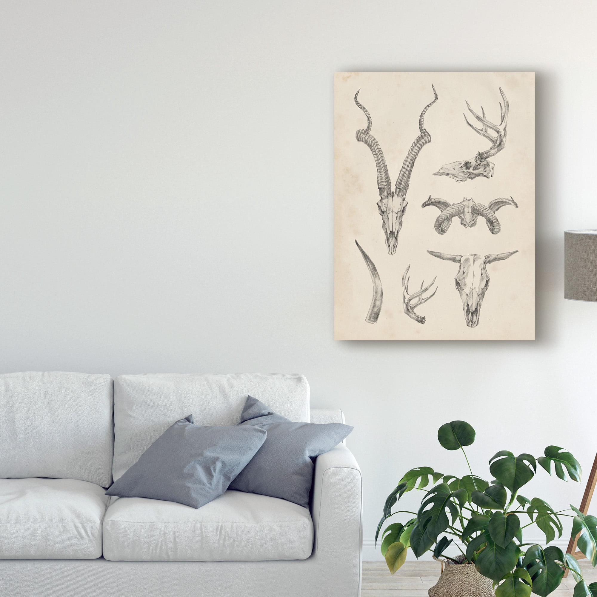 Trademark Fine Art 'Skull And Antler Study I' Canvas Art by Ethan Harper