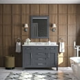 thumbnail image 3 of Ove Decors Tahoe 48 W x 21" D Freestanding Bathroom Vanity with Sink and Mirror, Dark Charcoal, 3 of 19