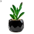thumbnail image 2 of Zeus Plante Artificielle Réutilisable PVC Réaliste Entretien Facile Bonsaï Succulent Artificiel pour la Maison, 2 of 7