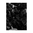 thumbnail image 1 of Trademark Fine Art 'Black Rock Fabrikken' Canvas Art by Design Fabrikken, 1 of 3