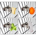 thumbnail image 5 of Soporte para comida para mascotas, Clips para jaula de pájaros y loros, alimentador de frutas y pájaros, soporte para comida para pájaros, jaula para loros, accesorios para canarios, 2 piezas oso de fresa Electrónica, 5 of 5