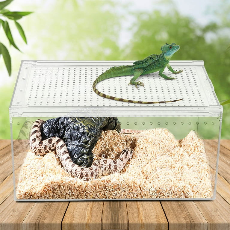Reptile Feeding Box Portable Small Snake Terrarium Habitat Mini