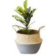 thumbnail image 4 of [Big Save!] Handmade Flower Basket Foldable Wickerwork Storage Basket Hanging Decorative Baskets Garden Flower Pot Rattan Planter Seagrass Home Storage Decor Basket, 4 of 6