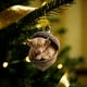 thumbnail image 1 of Adornos navideños Chopper de 8 cm con diseño de animales del bosque, para árbol de Navidad, regalo navideño, decoración colgante, decoración de jardín, decoración navideña y de Halloween., 1 of 5