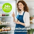 thumbnail image 2 of Strongest Refrigerator Deodorizer Odor Eliminator - 24h Fast Odor Removal, 12Months Long-Lasting Freshness, 1 pack, 2 of 4