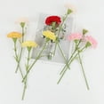 thumbnail image 3 of 5Pcs Artificial Carnation Realistic Fake Silk Flower Wedding Indoor Home Office Table Centerpiece Faux Flower Decoration Mother Day Gift, 3 of 8