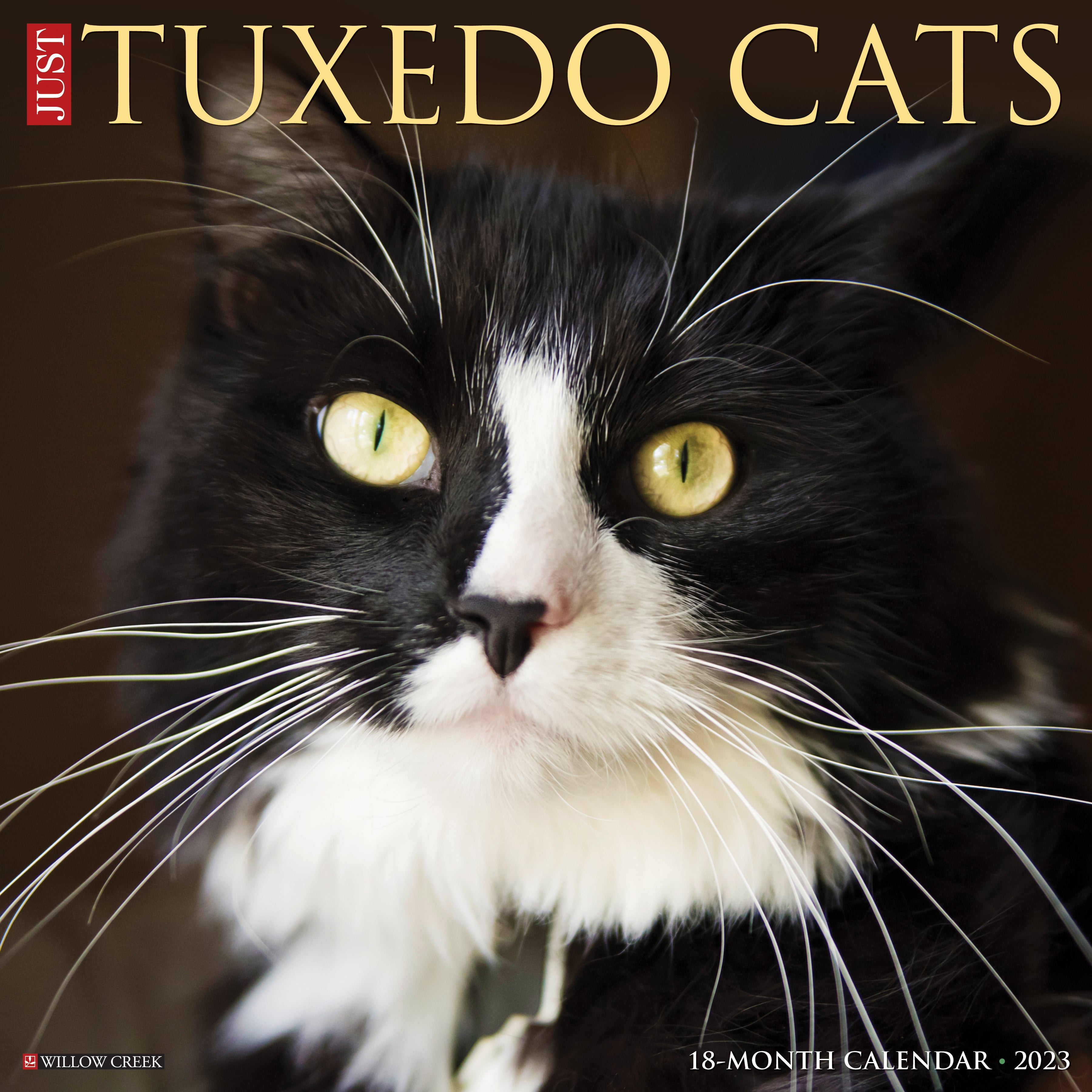 Just Tuxedo Cats 2023 Wall Calendar